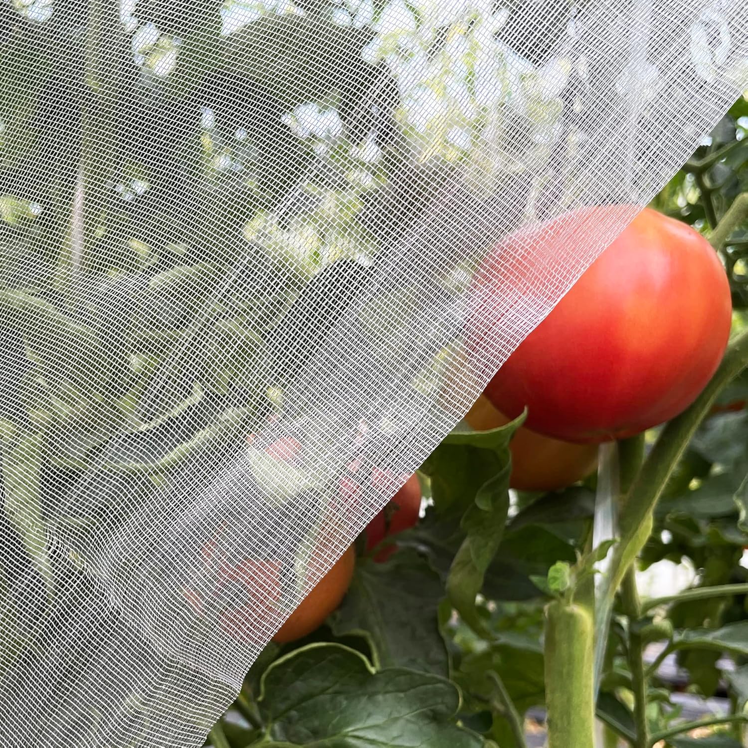 Garden Netting Cover - Ultra Fine Garden Netting 4'x10' Plant
