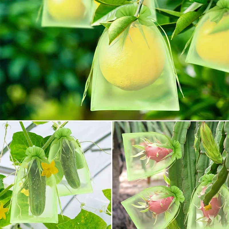 100Pcs Green Protective Bag wi - огляд і ціна Grow Bags