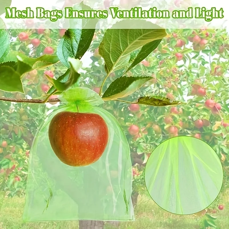 100Pcs Green Protective Bag wi - огляд і ціна Grow Bags