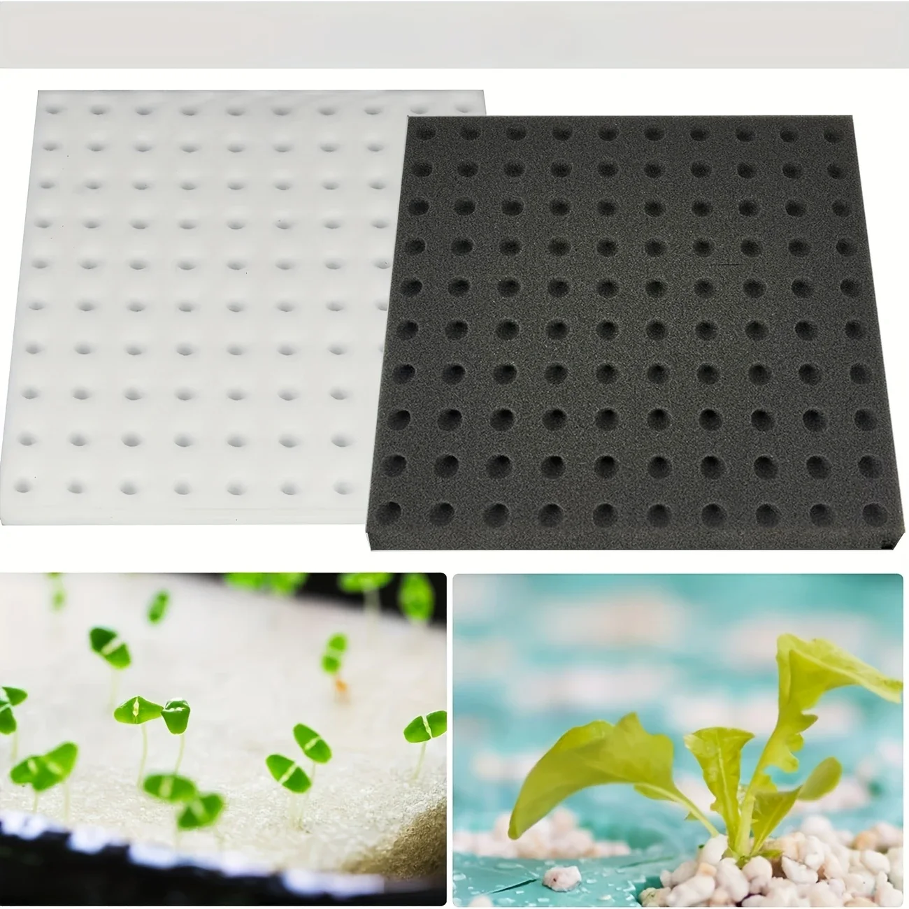 Greenhouse Sponge Vegetable Bu - огляд і ціна Gardening Tools Vegetables