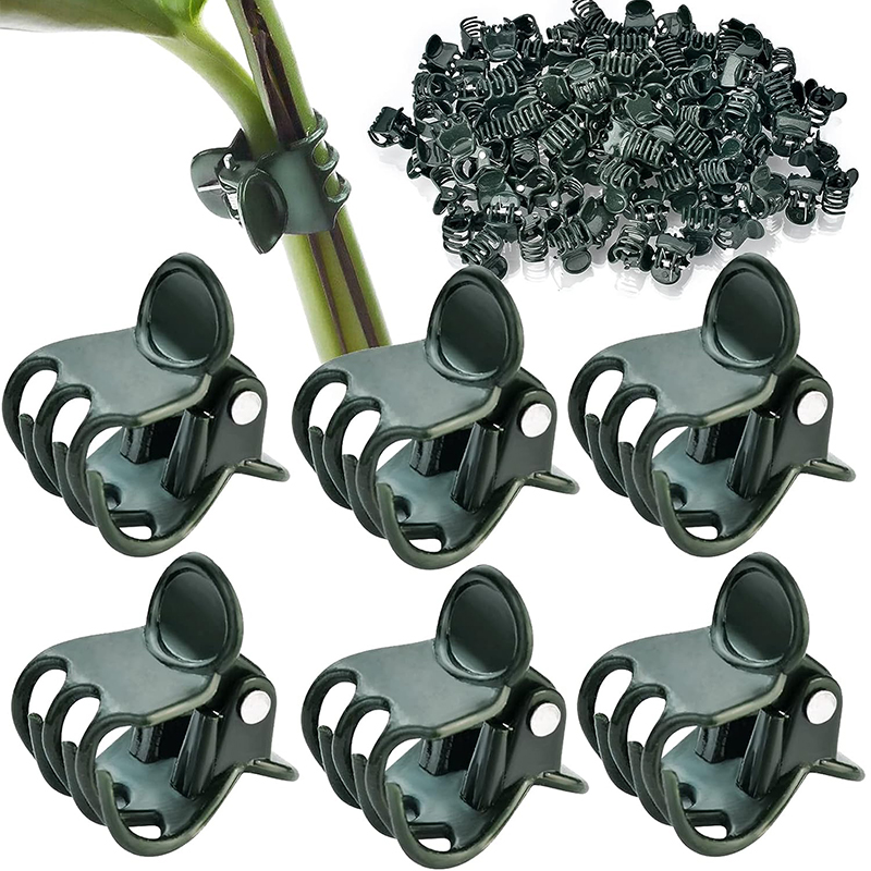 10/50/100PCS 6-Claw Dark Green - огляд і ціна Gardening Tools Green