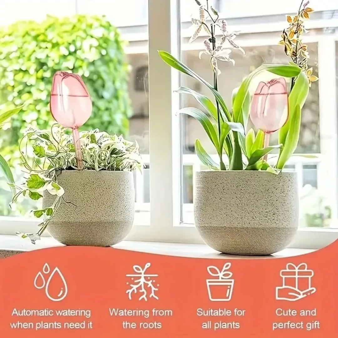 Pink Tulip Plant Watering Ball - огляд і ціна Gardening Tools Pink