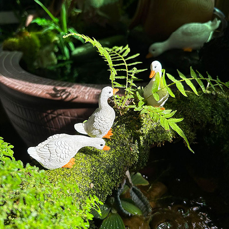 3pcs Cute White Duck Hydroponi - огляд і ціна Gardening Tools Cute