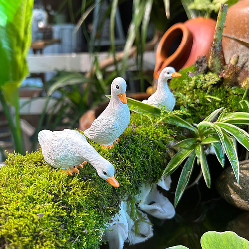 3pcs Cute White Duck Hydroponi - огляд і ціна Gardening Tools Cute