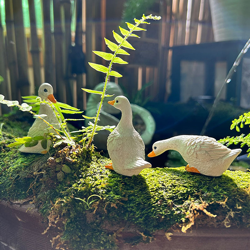 3pcs Cute White Duck Hydroponi - огляд і ціна Gardening Tools Cute