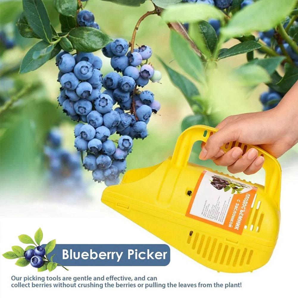 Blueberry Picker Rake | Effici - огляд і ціна Gardening Tools Basket