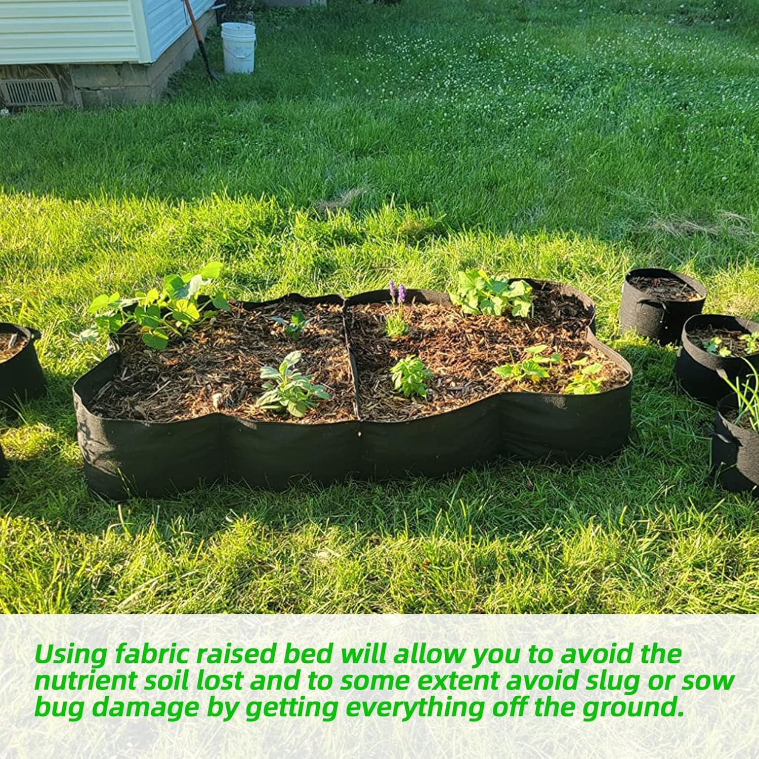 Fabric Raised Garden Bed, 2Pac - огляд і ціна Grow Bags