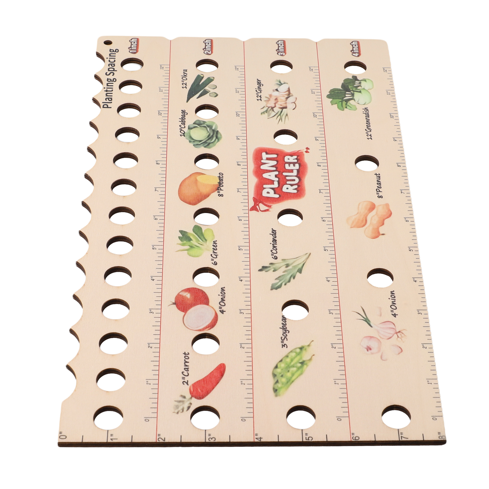 High Quality Plant Ruler Plant - огляд і ціна Gardening Tools Vegetables