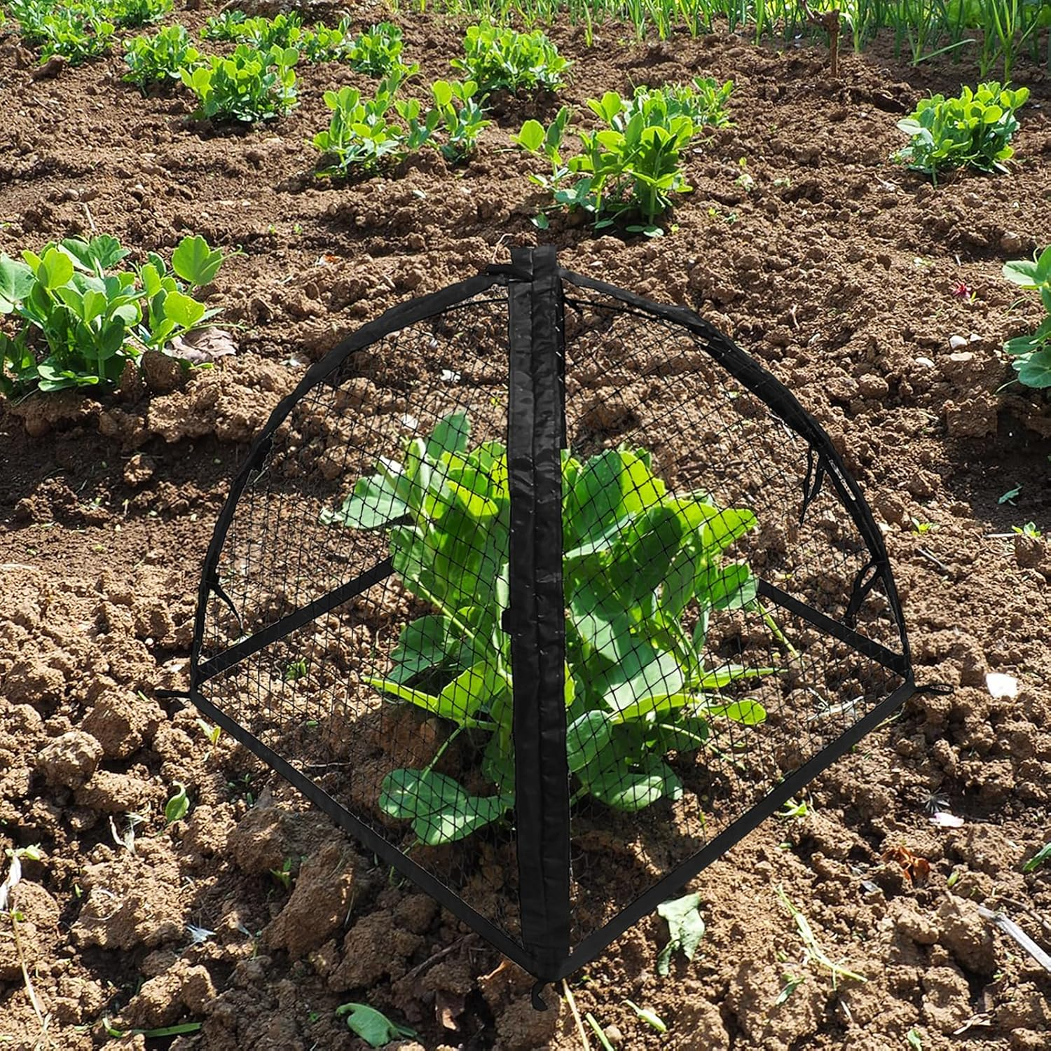 22inch Garden Netting Tent: Ea - огляд і ціна Garden Netting Cover