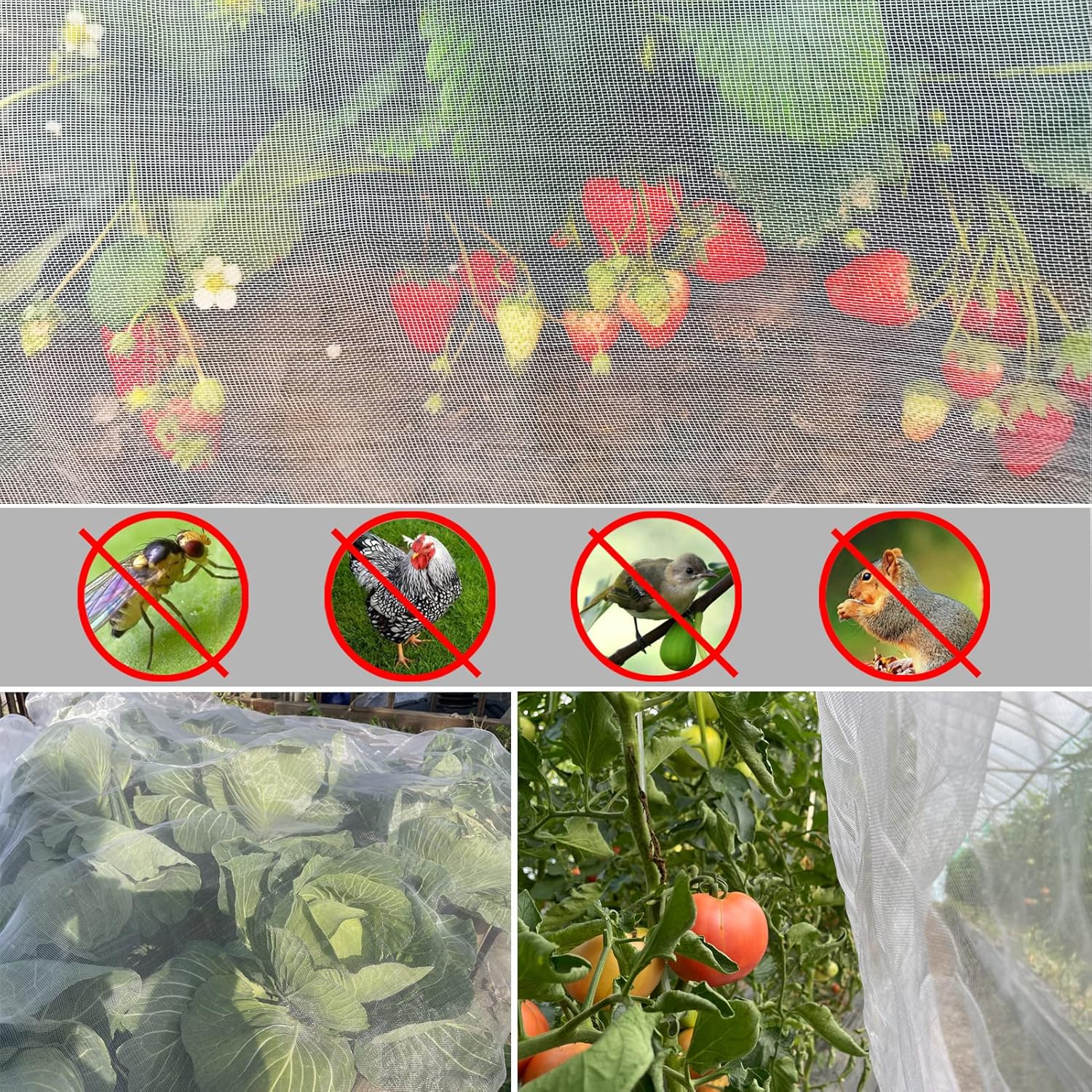 Ultra Fine Garden Netting 4'x1 - огляд і ціна Garden Netting Cover