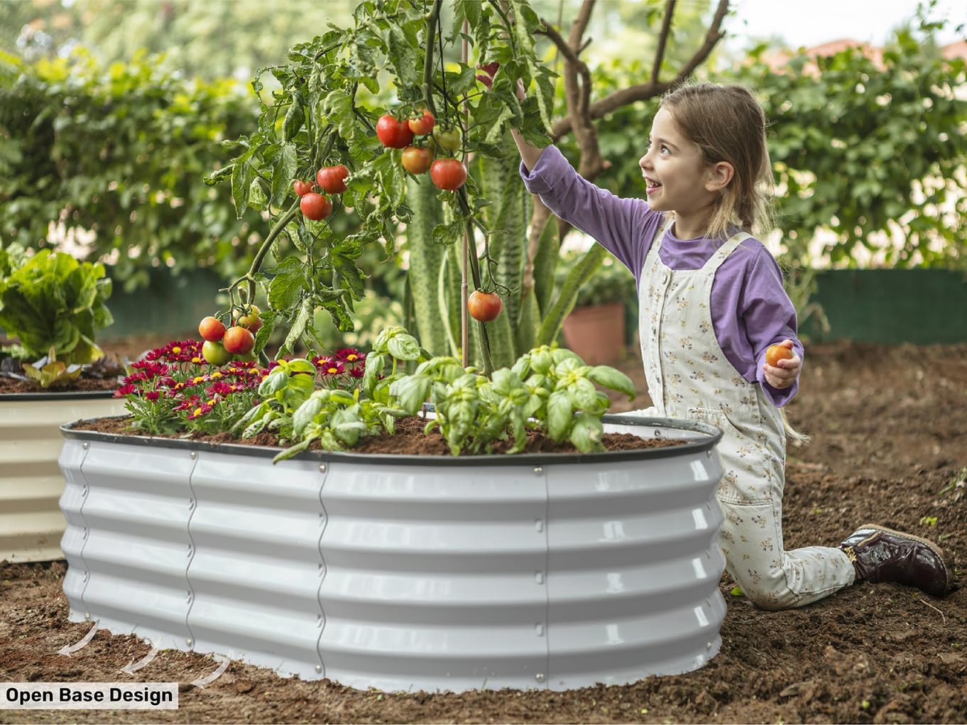 Galvanized Raised Garden Beds  - огляд і ціна Gardening Tools Vegetables