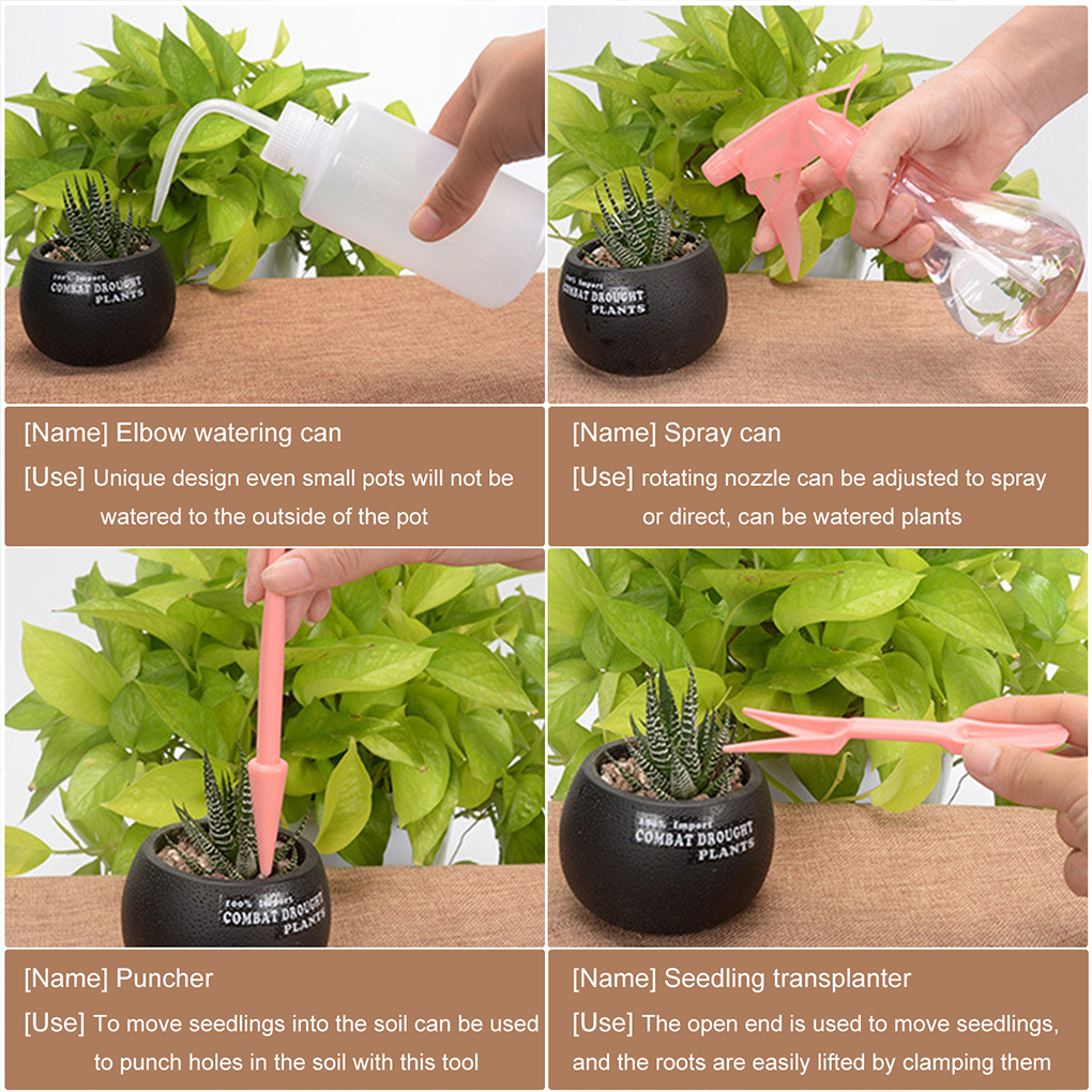 Easy To Clean Garden Succulent - огляд і ціна Gardening Tools Pink