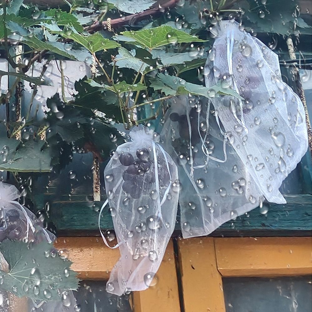 100pcs Mesh Grapes Fruit Grow  - огляд і ціна Grow Bags