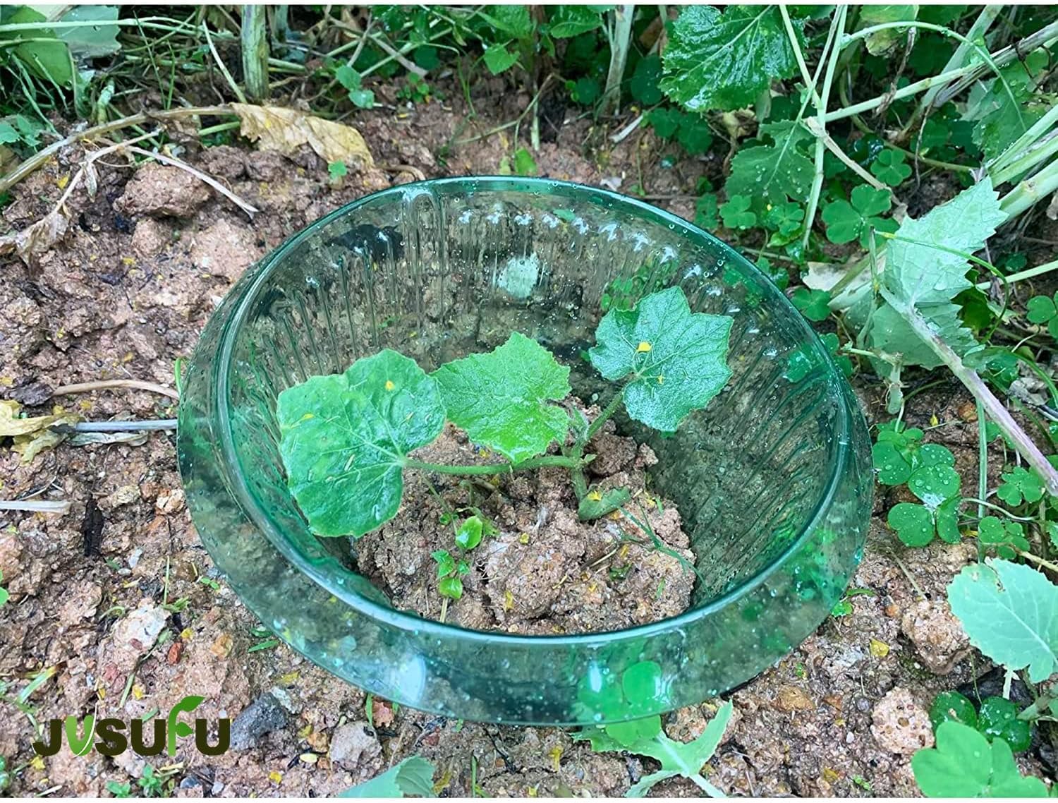 1/30pcs Plants Slug Protection - огляд і ціна Gardening Tools Green