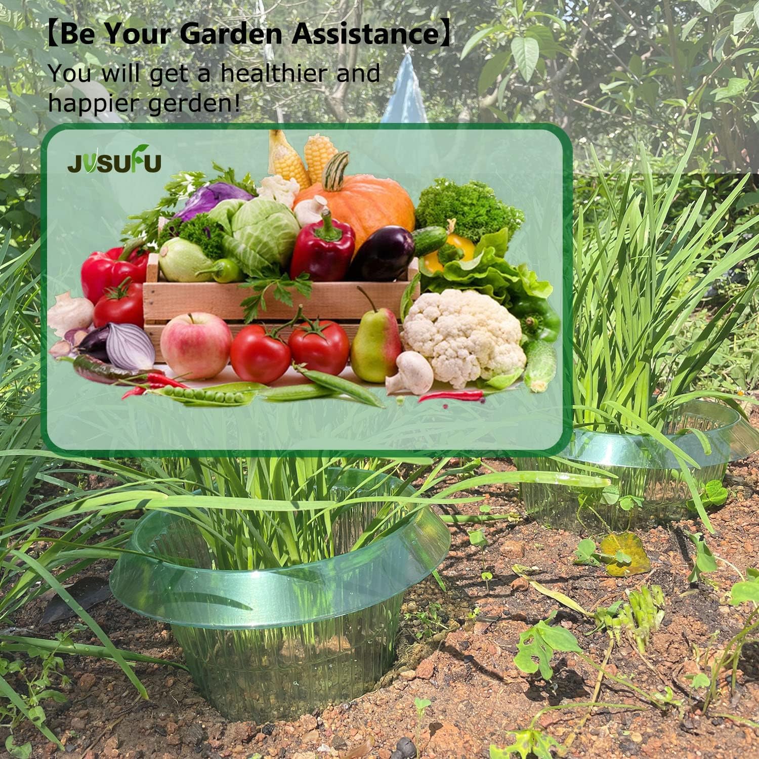 1/30pcs Plants Slug Protection - огляд і ціна Gardening Tools Green