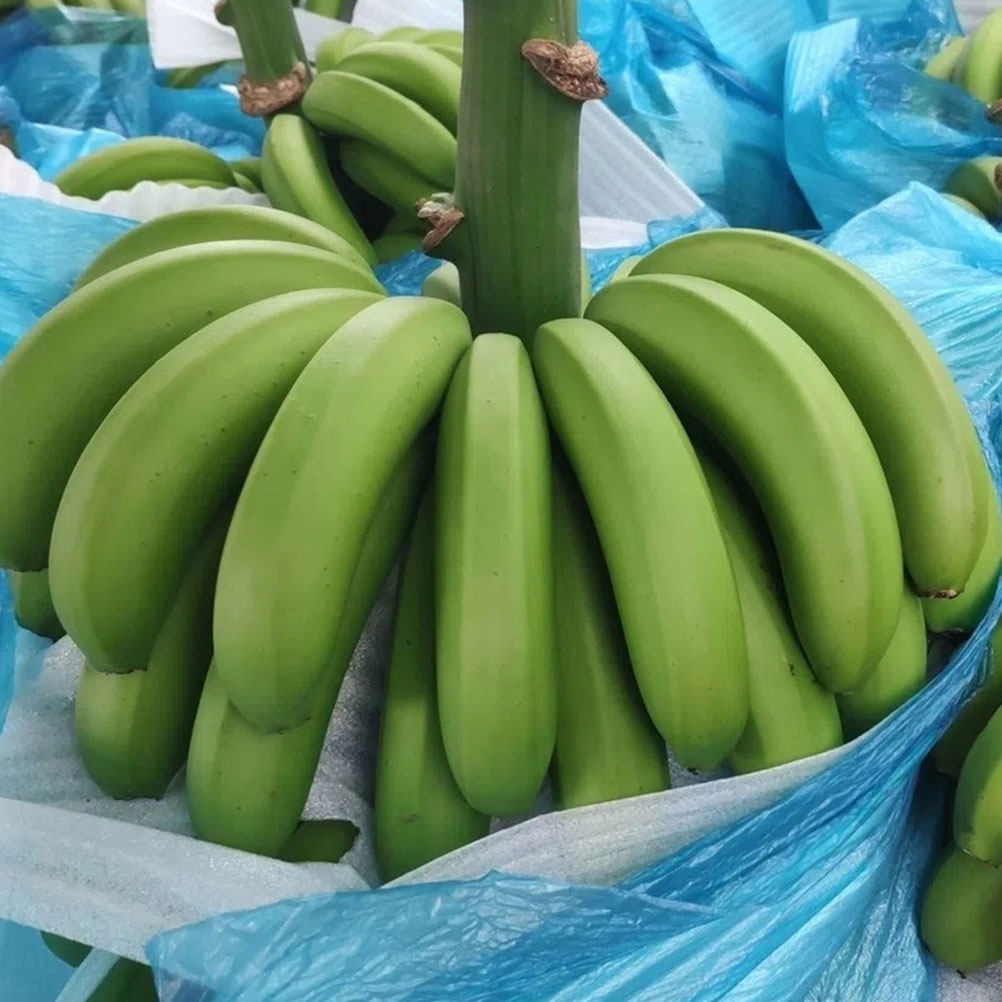4Pcs Banana Protection Bag Set - огляд і ціна Grow Bags