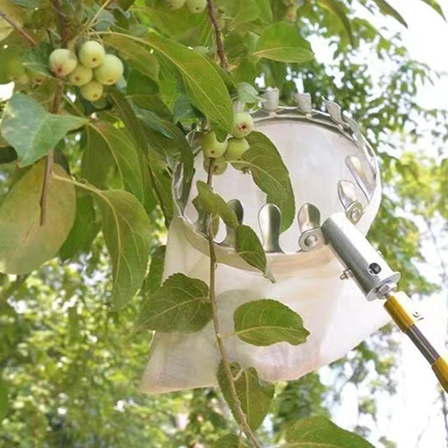 Professional Berry Picker Tool - огляд і ціна Gardening Tools Basket