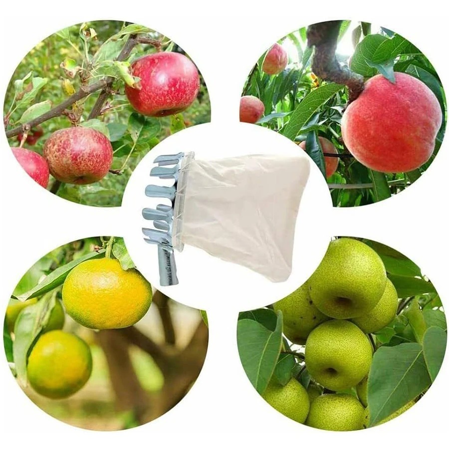 Professional Berry Picker Tool - огляд і ціна Gardening Tools Basket