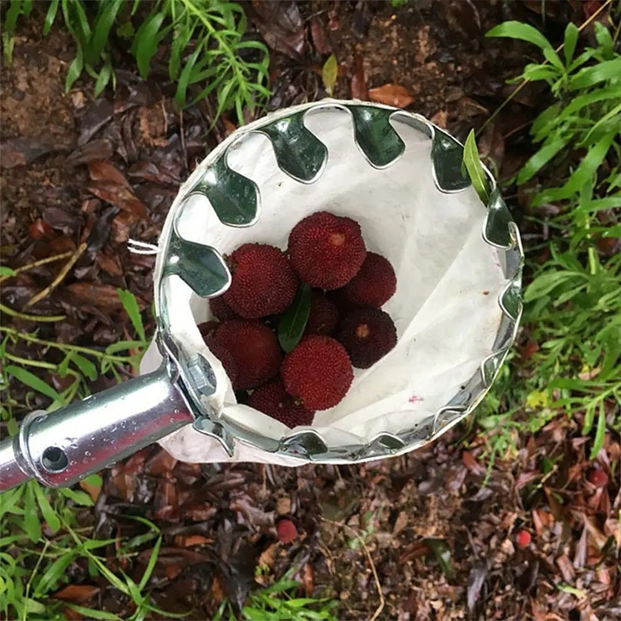 Professional Berry Picker Tool - огляд і ціна Gardening Tools Basket