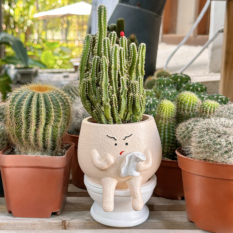Funny Ghost Toilet Resin Succu - огляд і ціна Gardening Tools Cute
