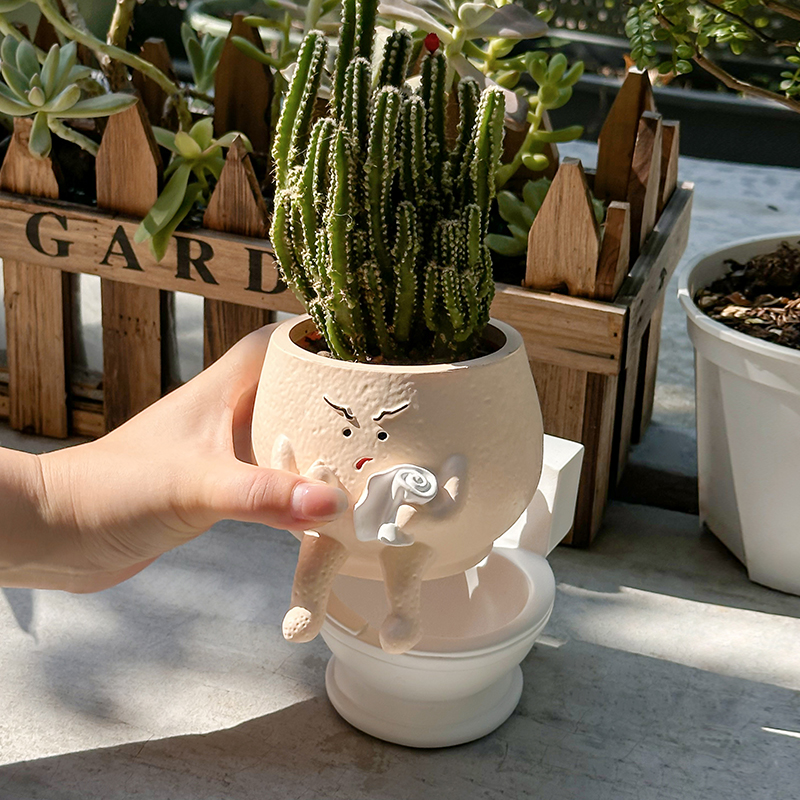 Funny Ghost Toilet Resin Succu - огляд і ціна Gardening Tools Cute