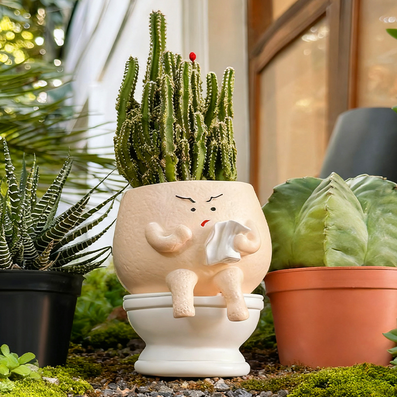 Funny Ghost Toilet Resin Succu - огляд і ціна Gardening Tools Cute