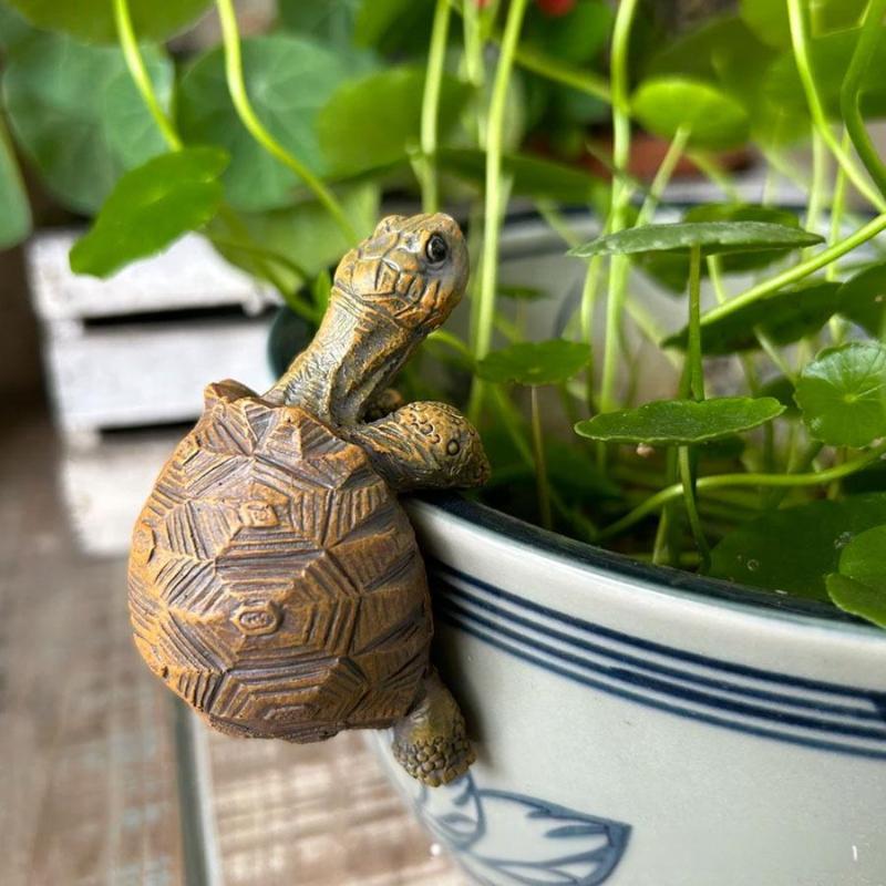 Tortoise Figure Plant Pot Hang - огляд і ціна Gardening Tools Cute