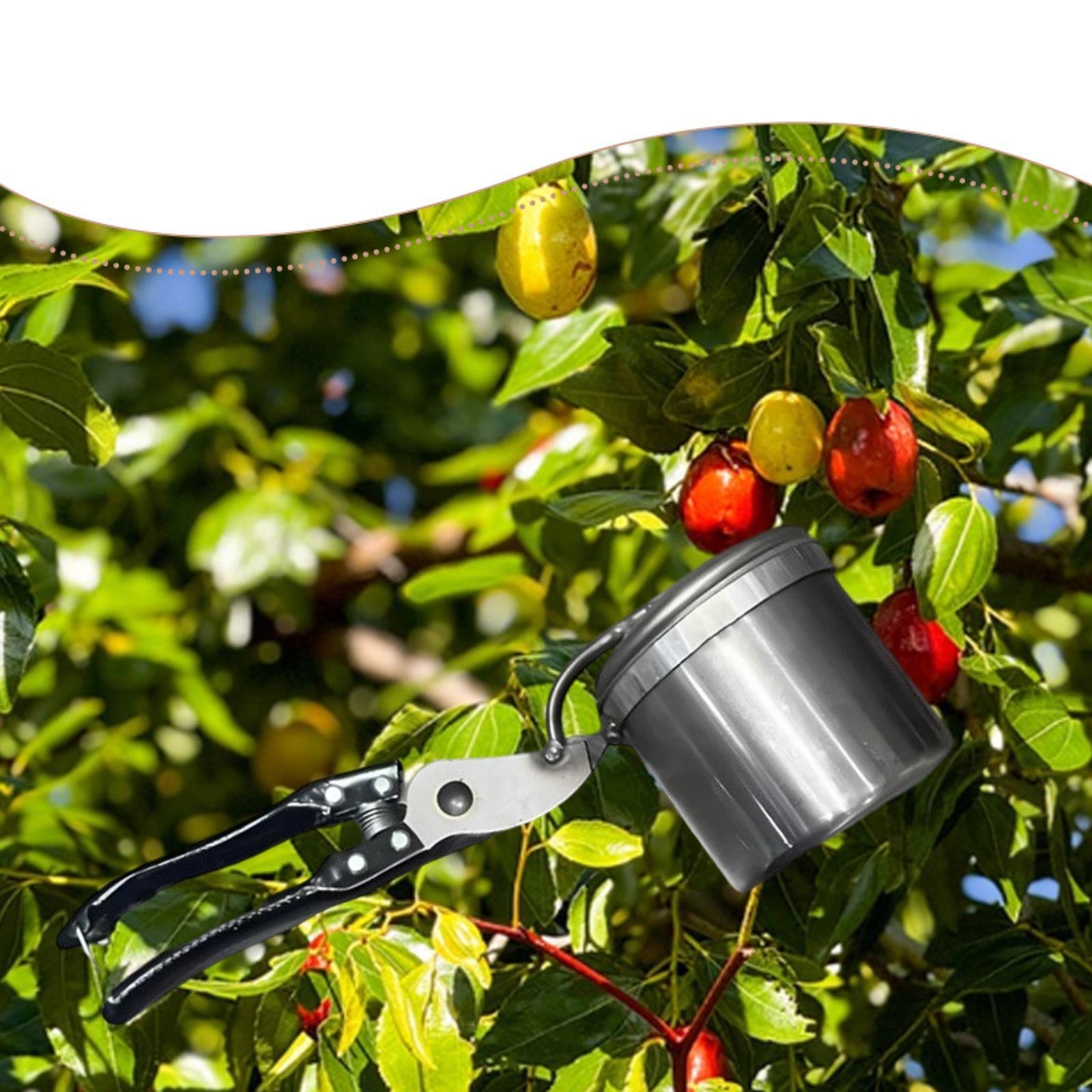 Fruit Picker, Easy to Use Port - огляд і ціна Gardening Tools Vegetables