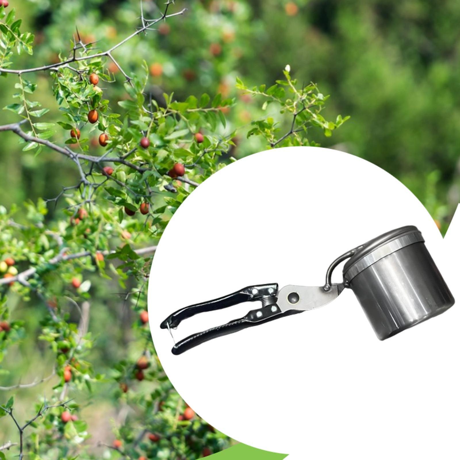 Fruit Picker, Easy to Use Port - огляд і ціна Gardening Tools Vegetables
