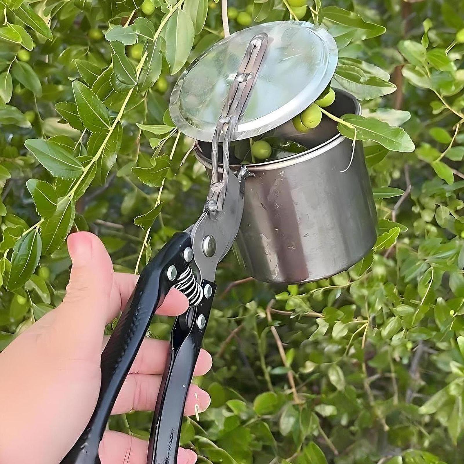 Fruit Picker, Easy to Use Port - огляд і ціна Gardening Tools Vegetables